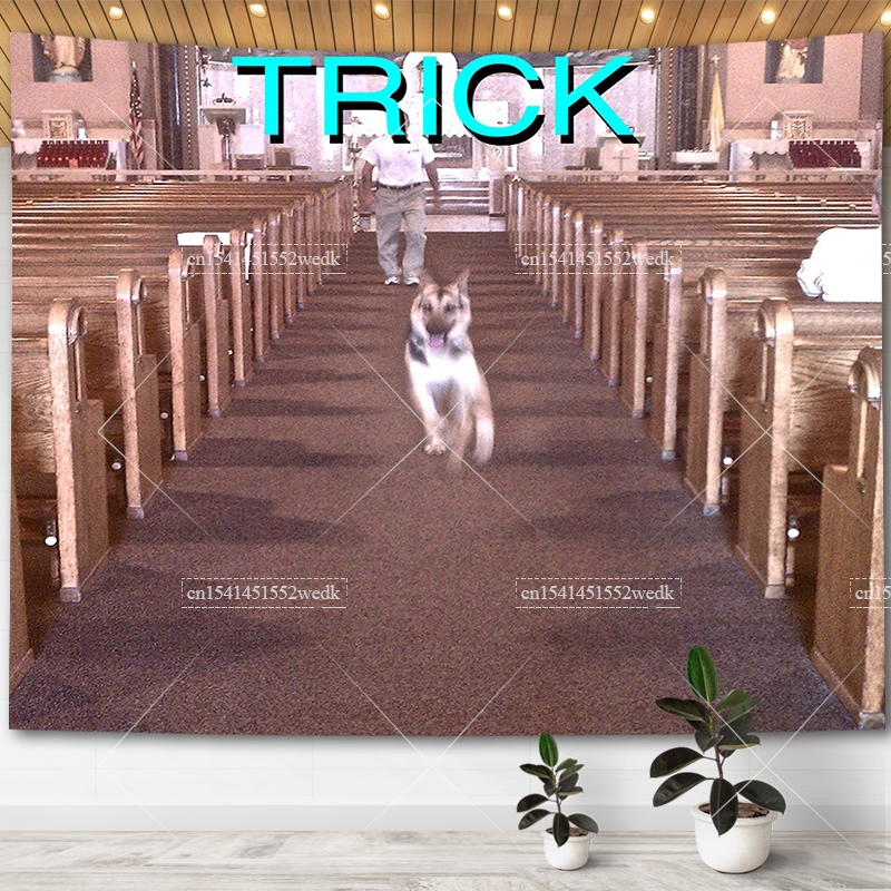 Home Gym Decor - Alex G Trick Album Cover Tapestry