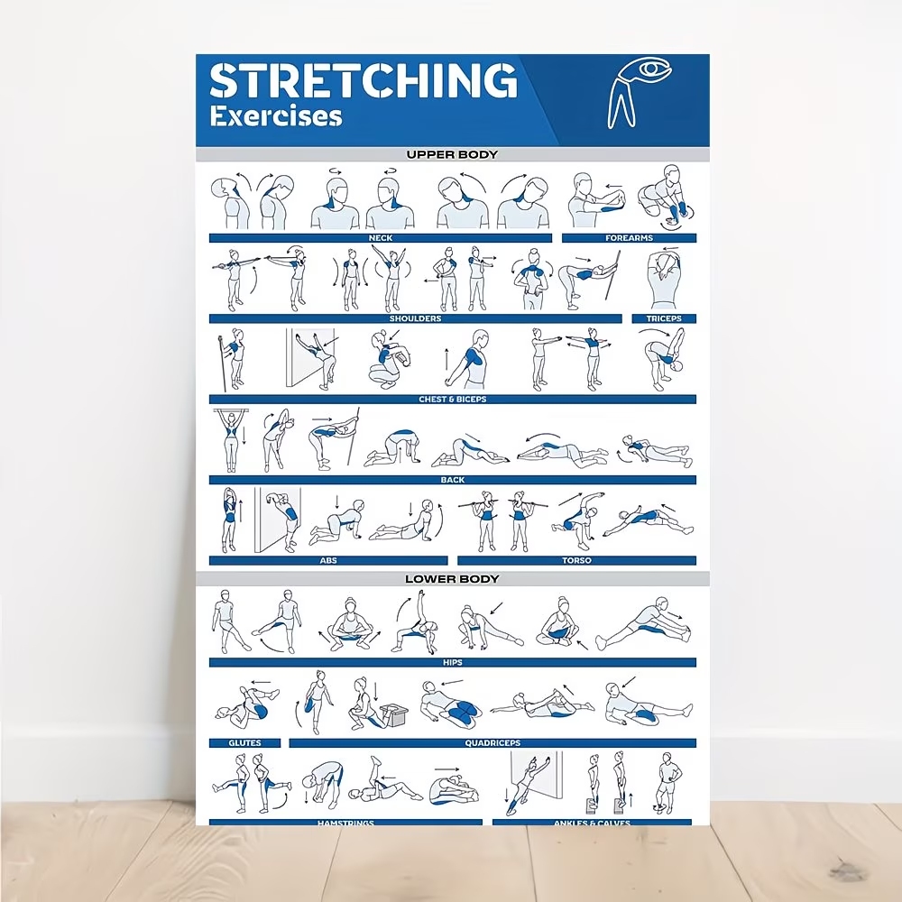 Home Gym Decor - Modern Labeled Full-Body Stretches For Gym
