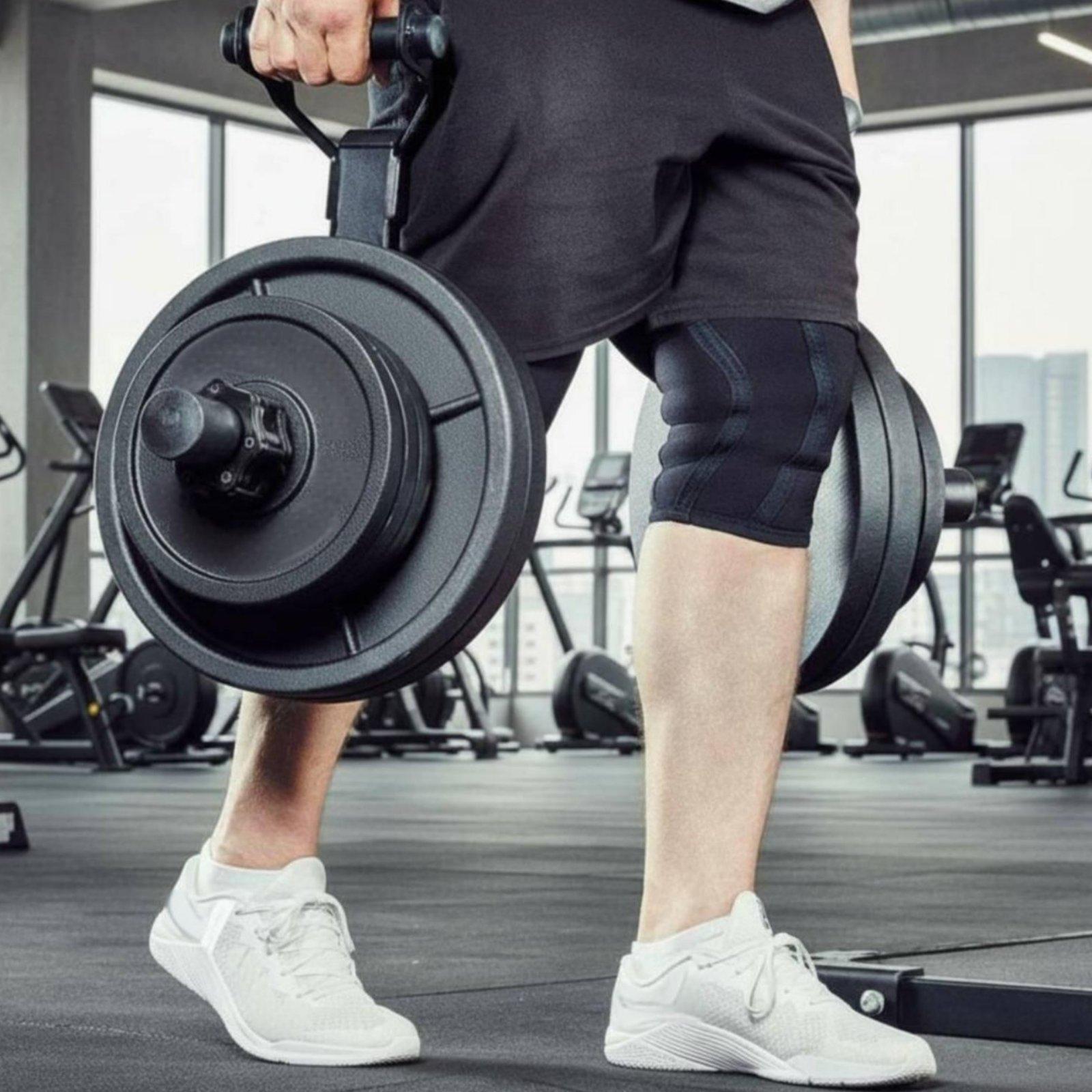 Multi-size Barbell Plate Holde - Home Gym Training review and price