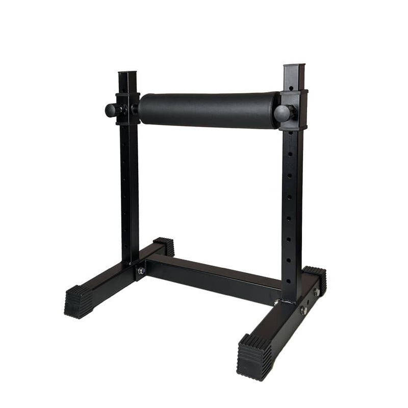 Adjustable Single Leg Squat St - Leg Home Gym Workout review and price