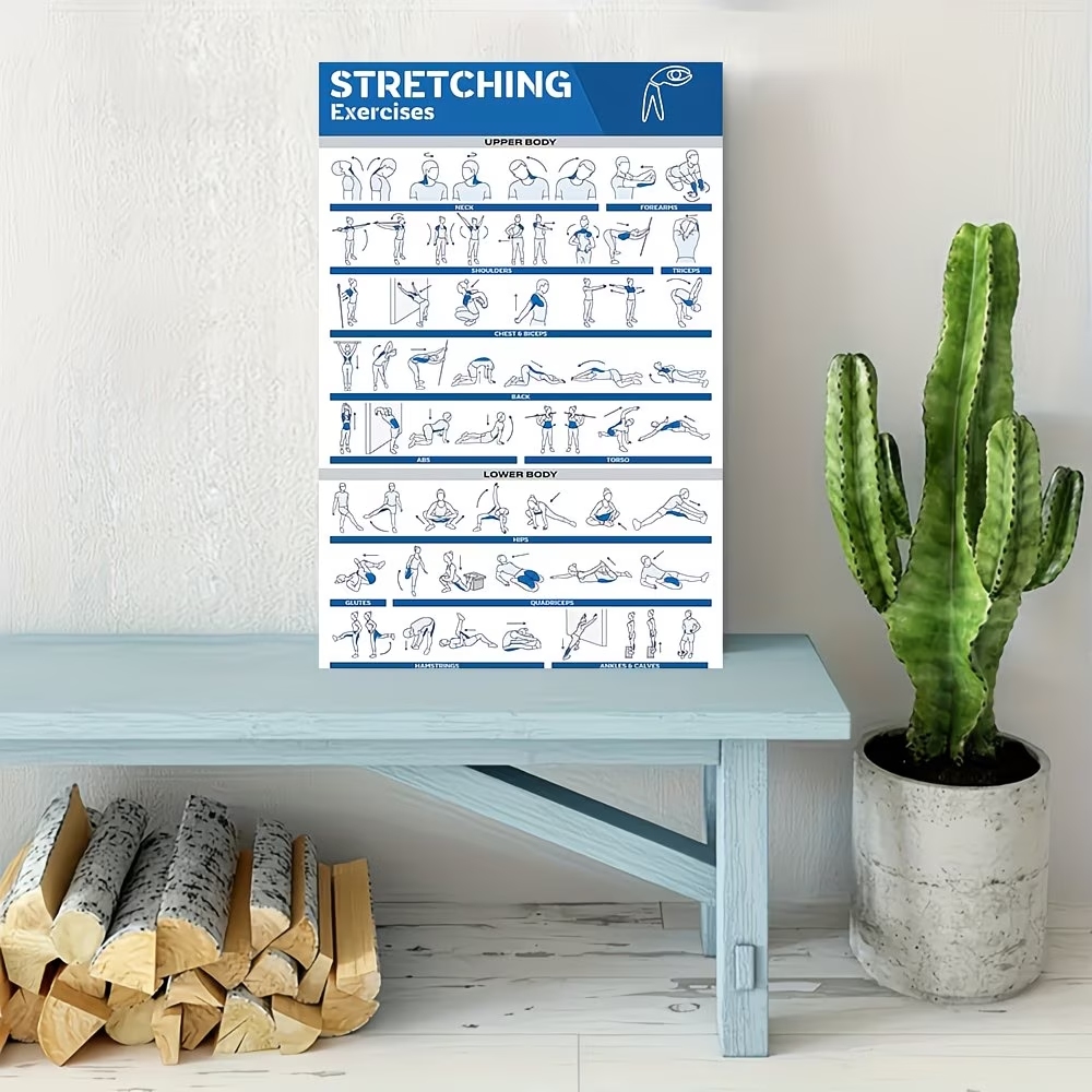 Modern Labeled Full-Body Stret - Home Gym Decor review and price
