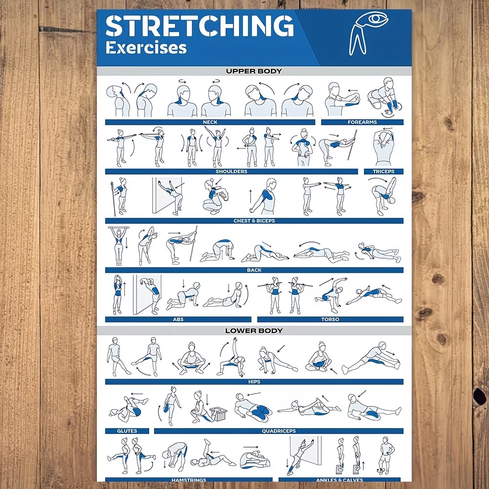 Modern Labeled Full-Body Stret - Home Gym Decor review and price