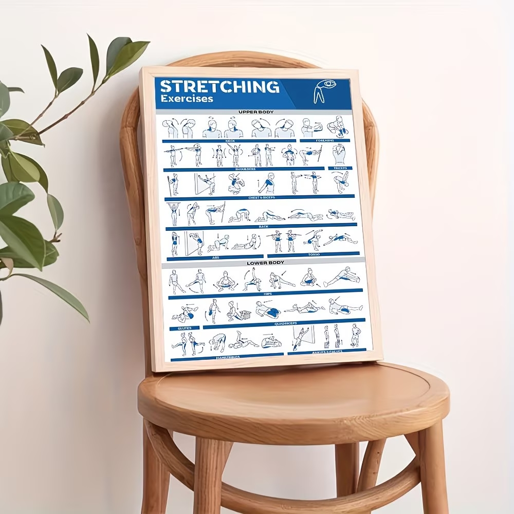 Modern Labeled Full-Body Stret - Home Gym Decor review and price